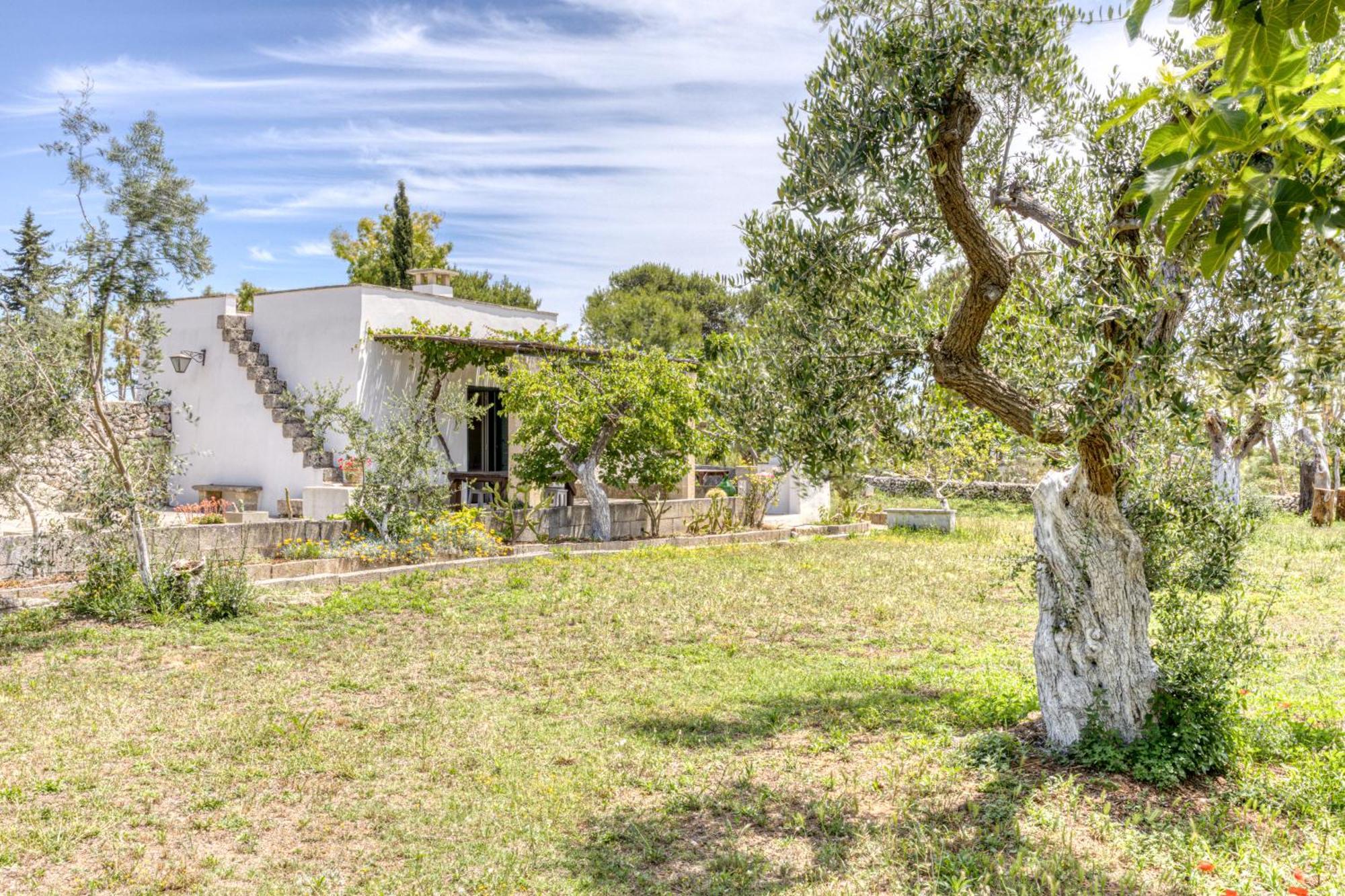 Biomasseria Santa Lucia Alessano Eksteriør bilde
